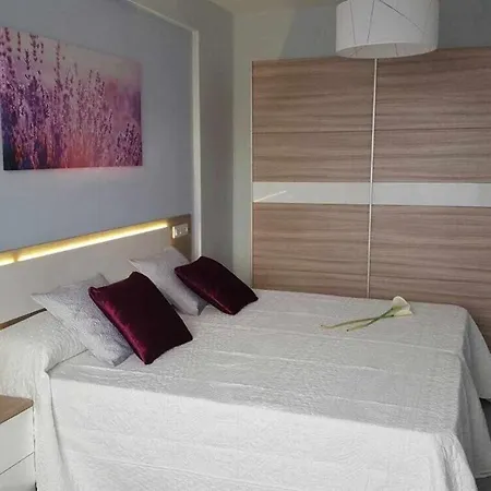 Con Terraza Y Piscina C