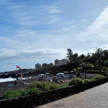 Con Terraza Y Piscina C